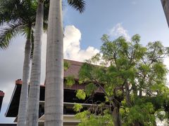 -三亚亚龙湾雅高铂尔曼别墅度假酒店