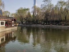 -团结湖公园