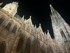 -斯蒂芬主教座堂(Stephansdom)