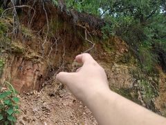 -长虫山生态公园风景林