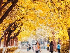 -山东师范大学(千佛山校区)