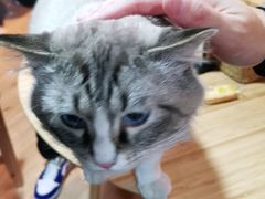 -白兔子密室(长寿路店)