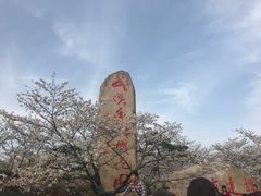 -武汉大学-樱园