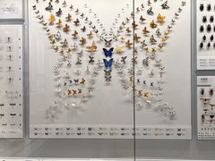 -四川大学博物馆