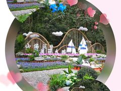 -深圳仙湖植物园