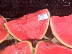 -泉州海丝野生动物世界