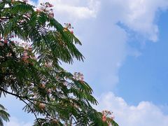 -洋湖国家湿地公园