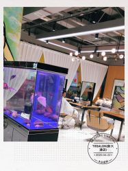 -T8 SALON