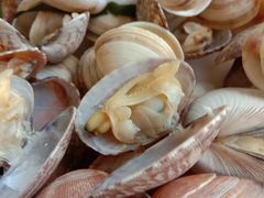 -港畔赶海蒸汽海鲜烧烤自助(仙螺岛店)