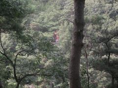 -沂蒙山旅游区云蒙景区(蒙山国家森林公园)