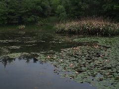 -白鹭湾湿地公园