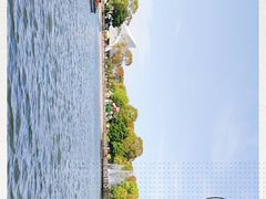 -上海鲜花港