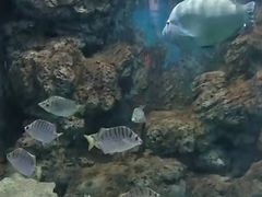 -临沂极地海洋王国