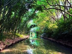 -同里国家湿地公园