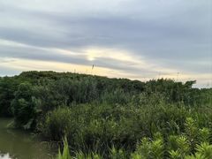 -上海国际音乐村