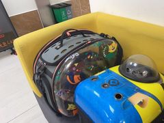 -美联众合动物医院·24h京西诊疗中心