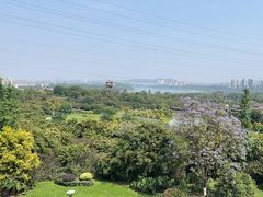 -张坝桂圆林公园