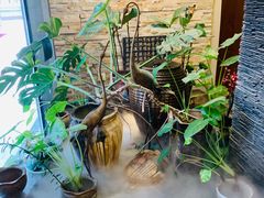 -苏沐堂全息足浴·SPA·按摩(万科美好广场店)