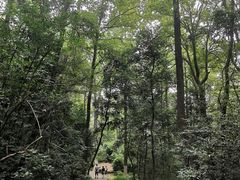 -岳麓山风景名胜区