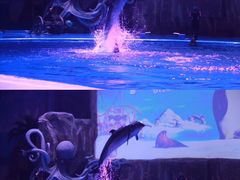 -华夏文旅海洋公园