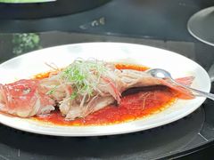 清蒸东星斑-万达文华酒店-品珍中餐厅