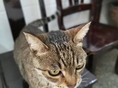 -陀块头面馆(梅岭南路店)