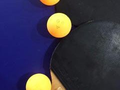 -火星羽毛球游泳乒乓球网球篮球台球滑板轮滑(踏水桥北街店)