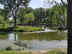 -东郊湿地公园