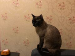 -吱咖啡西式简餐