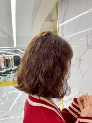 -潘多拉Hairsalon
