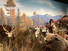 -陕西自然博物馆