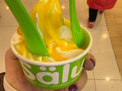 -Salud撒露欧洲冻酸奶(蓝色港湾店)