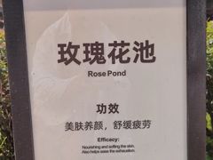 -融汇温泉