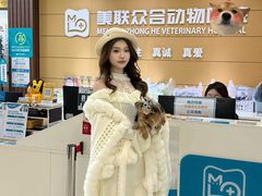 -美联众合动物医院·24h京西诊疗中心