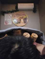-升艾堂亚健康调理中心