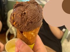 黑巧克力冰淇淋-LUNEURS月乐诗 冰淇淋咖啡(环贸店)