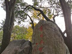 -上海方塔园