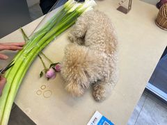 -花草间花行(法华镇路店)