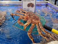 -盒马X会员店(上海森兰商都店)