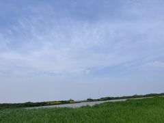 -西青郊野公园