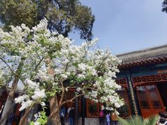 -保定直隶总督署博物馆