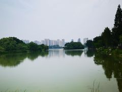 -洋湖国家湿地公园