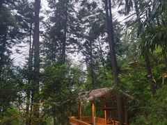 -华宁象鼻温泉旅游文化度假区
