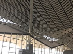 -张家界荷花国际机场航站楼-国内出发