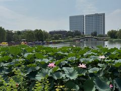 -西海子公园