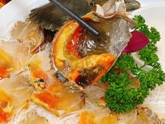 -官塘陈记鱼生·潮汕砂锅粥·牛肉火锅(潮枫路总店)