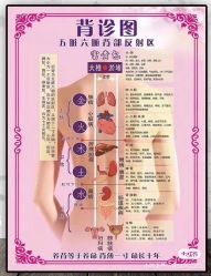 -香薇妮丝女子减肥院