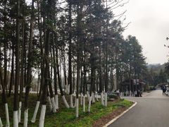 -天生桥景区