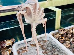 -王潮活海鲜自助·蒸汽海鲜