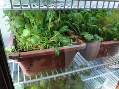 -东椰·海南椰子鸡火锅(朝阳门店)